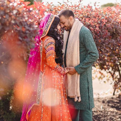 Aisha Farrukh